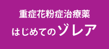 はじめてのゾレア